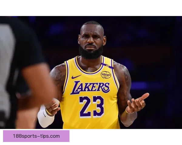 詹姆斯赞布朗尼具备NBA实力 强调家族做事从不敷衍